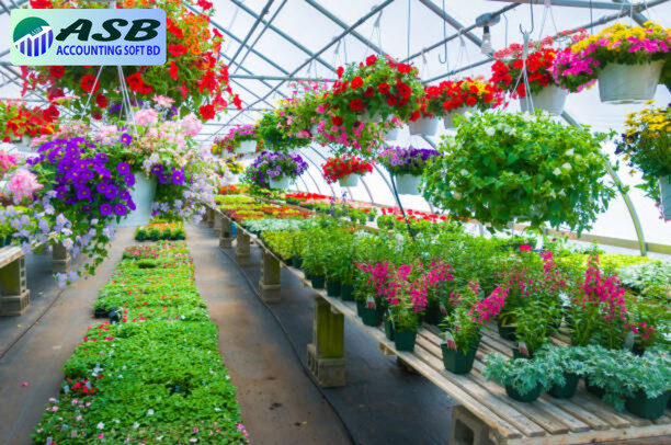 Best Nursery Accounting Software Bangladesh image