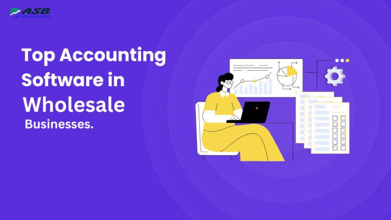 Wholesale Accounting Software Image